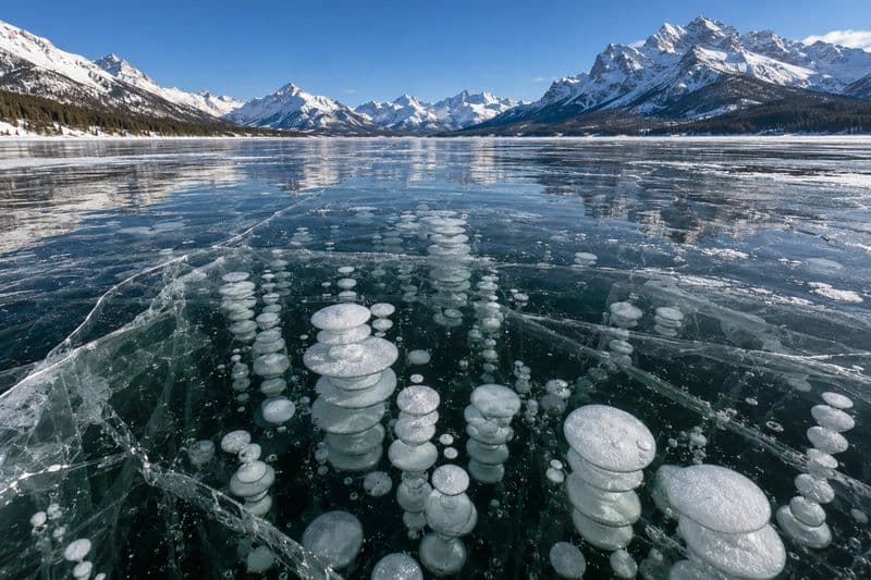 Frozen methane bubbles stacked in white columns under clear dark lake ice, cracks running through it, and snow-covered peaks under a blue sky.